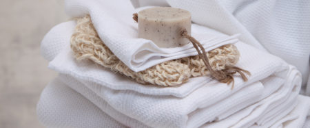 Wellness at home - Seahorse Balance